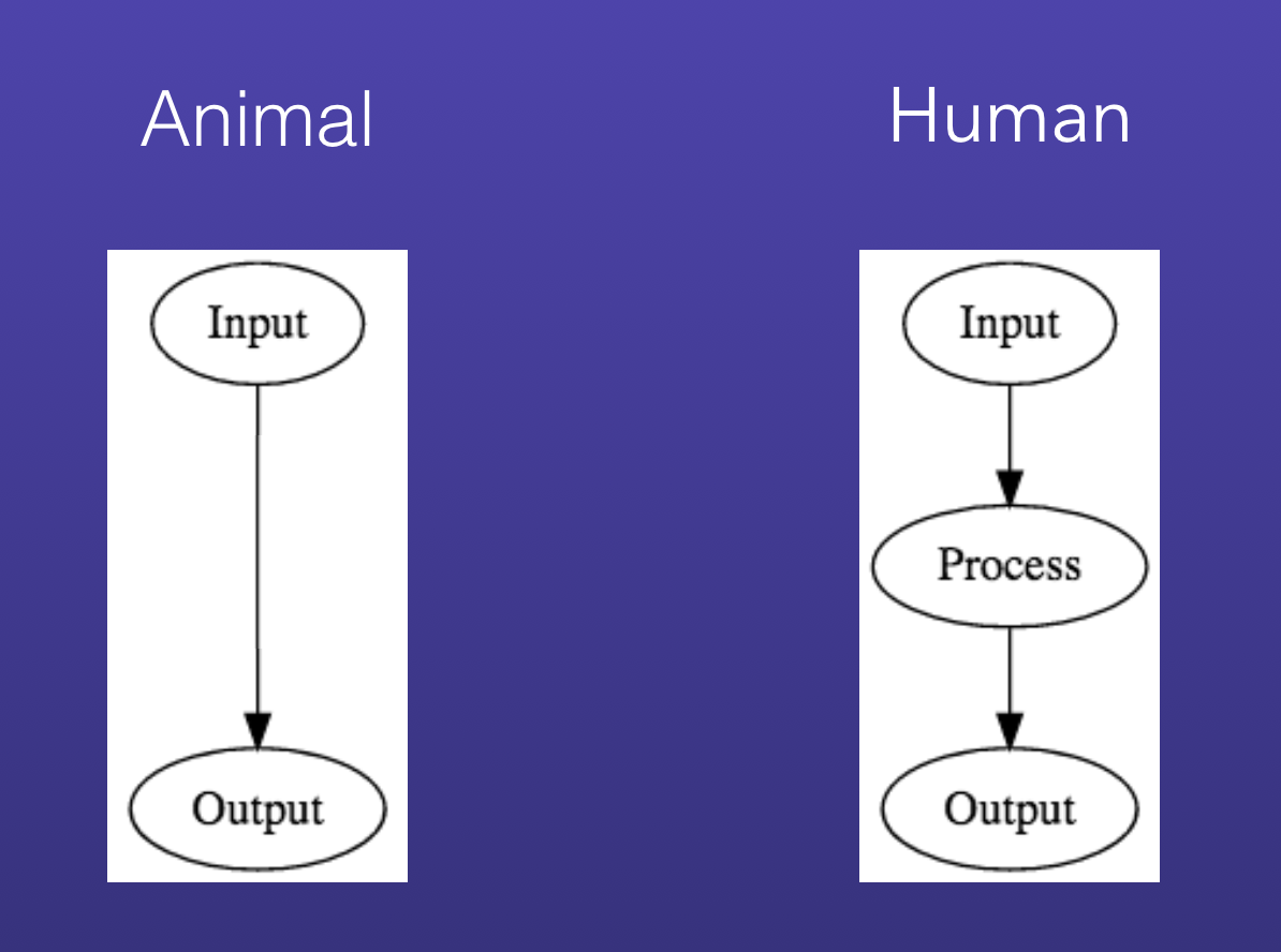 animal vs human